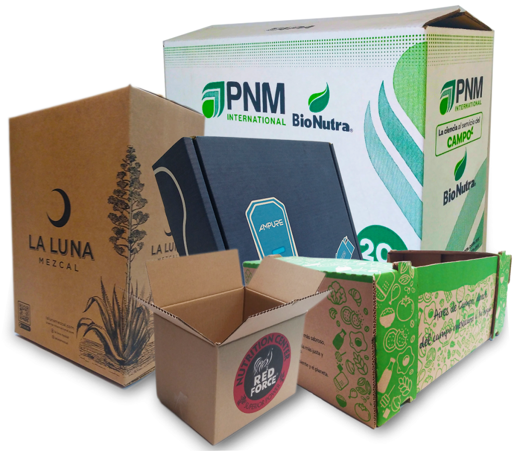 EMPAQUE DE CARTÓN 3H