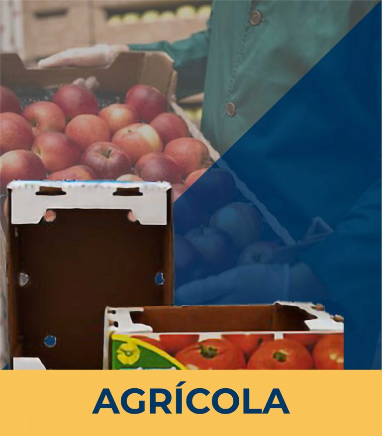 EMPAQUE SECTOR AGRICOLA