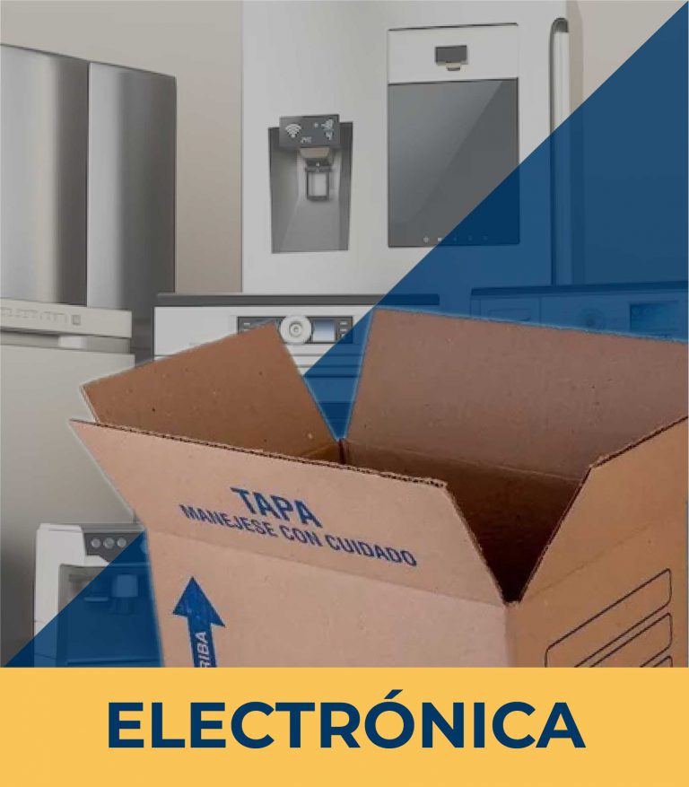 EMPAQUE SECTOR ELECTRONICA